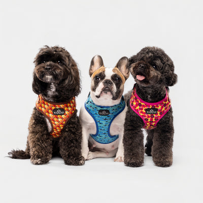 Wildling Pet Co. Latest Dog Leads, Collars and Harnesses