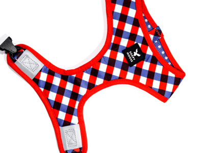 Dog Harnesses & Halters