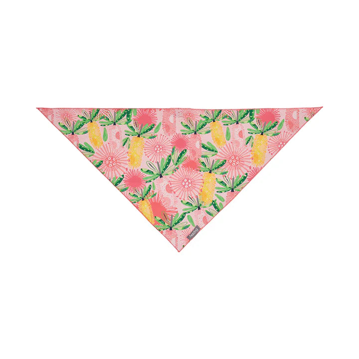 HOT DOG BANDANA COTTON  | BANKSIA
