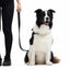 EzyDog Vario 4 Leash