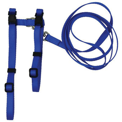 Cat & Puppy Harness & Leash