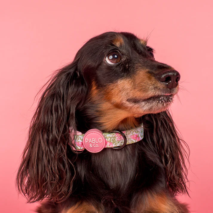 Flora and Fern | Dog Collar