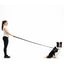 EzyDog Vario 4 Leash