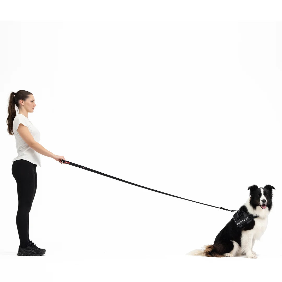 EzyDog Vario 4 Leash