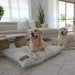 Indoor Dog Bed (Cover Only) | Bouclé Sage