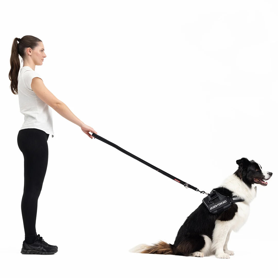 EzyDog Vario 4 Leash