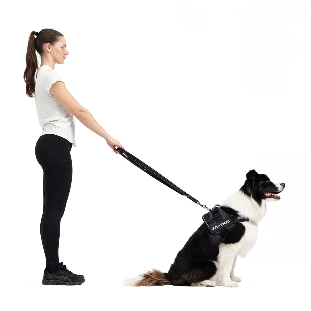 EzyDog Vario 4 Leash