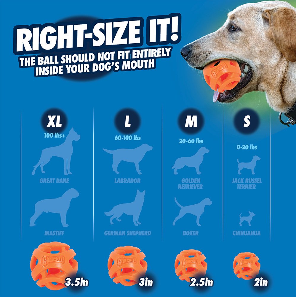 Chuckit ! Air fetch balls | 2 Pack