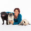 Book - The Canine Perspective - Peticular