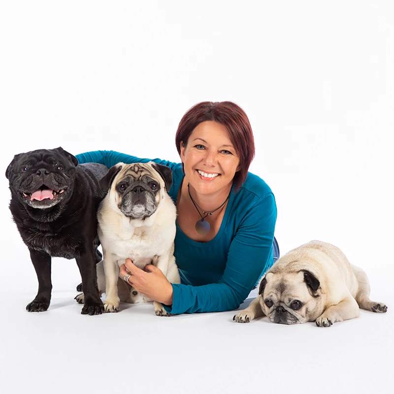 Book - The Canine Perspective - Peticular