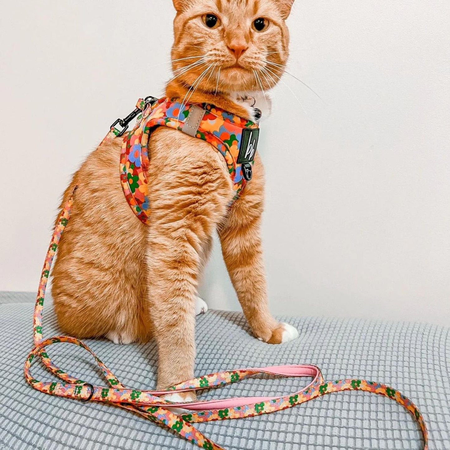 Austin Flowers Cat Leash