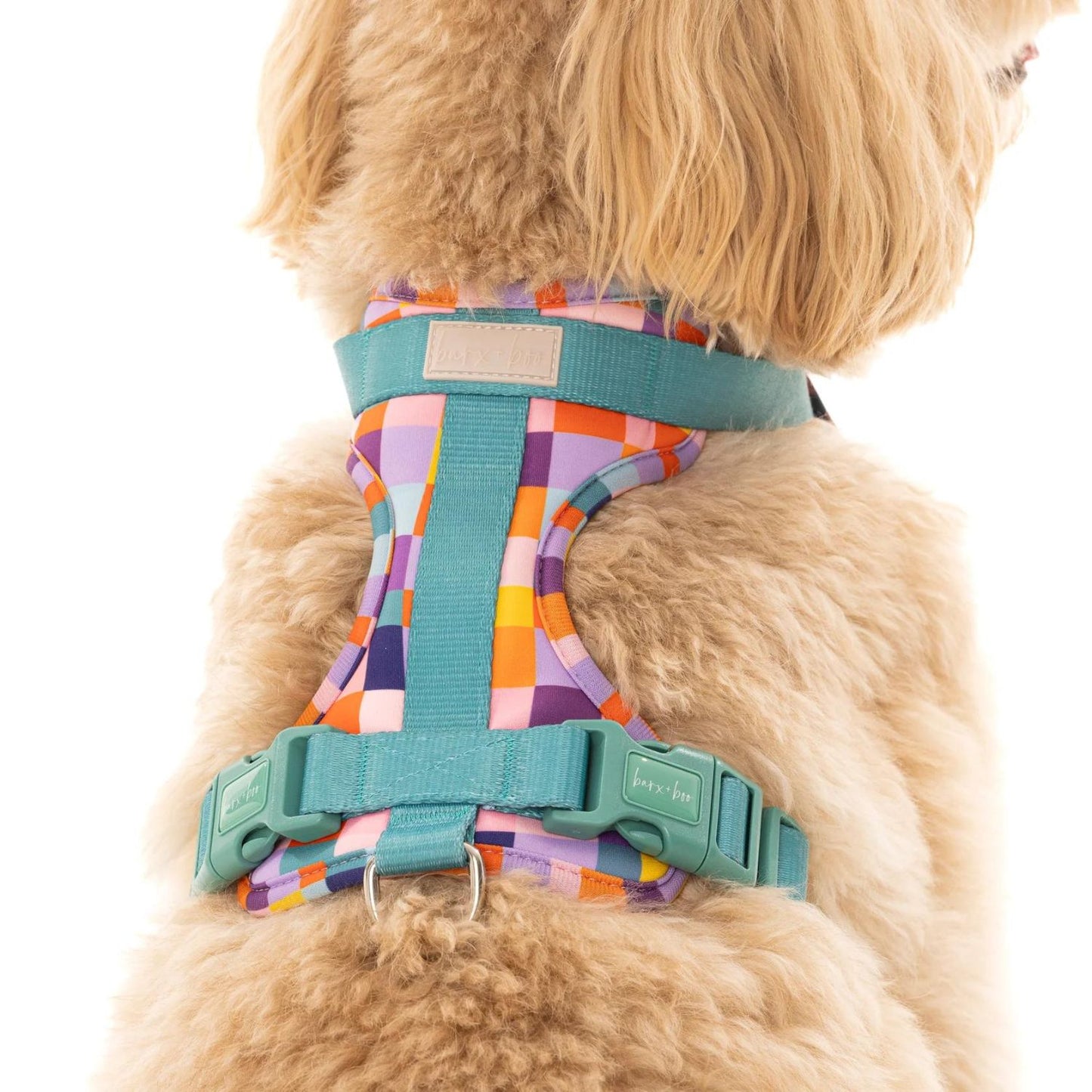 Dream In Colour Dog Adventure Harness