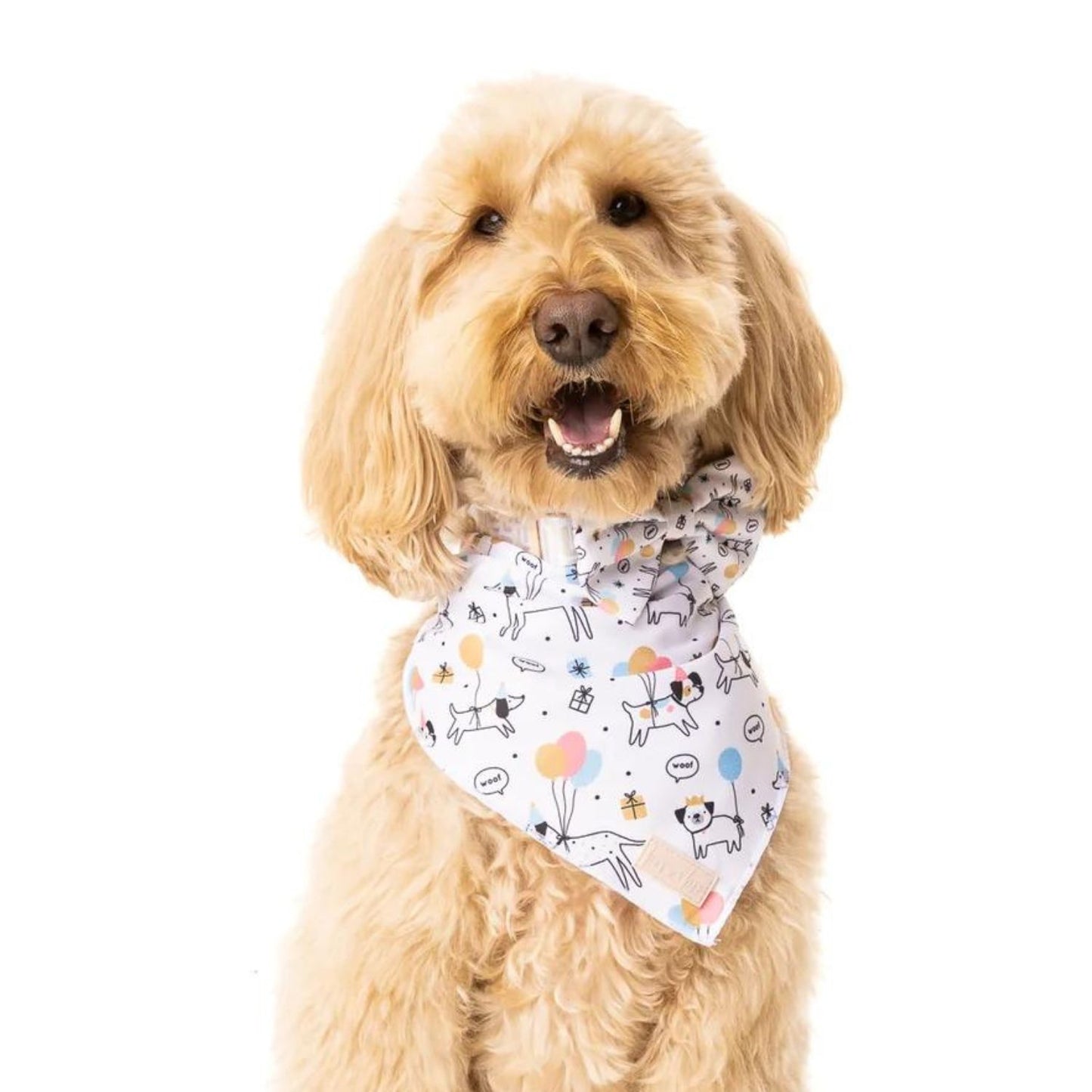 Woof Birthday | Tie-Up Bandana