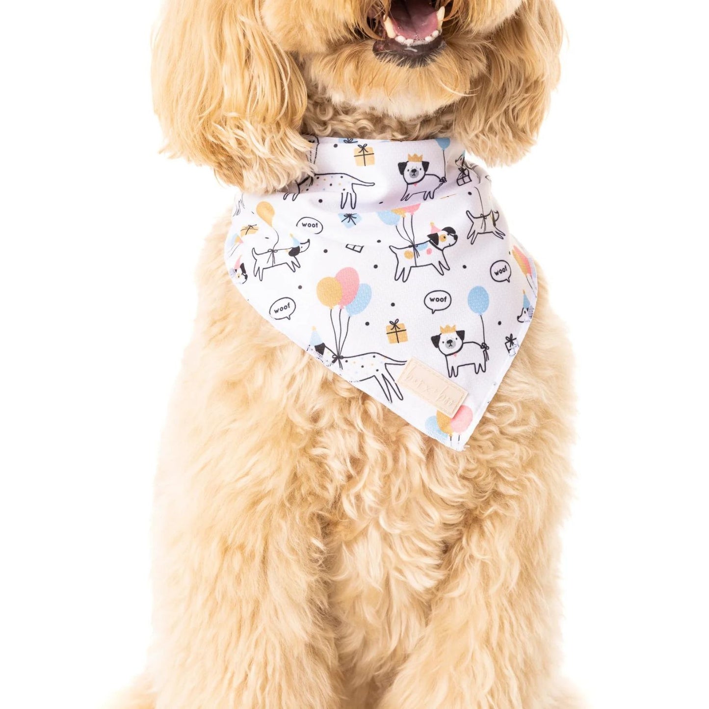 Woof Birthday | Tie-Up Bandana