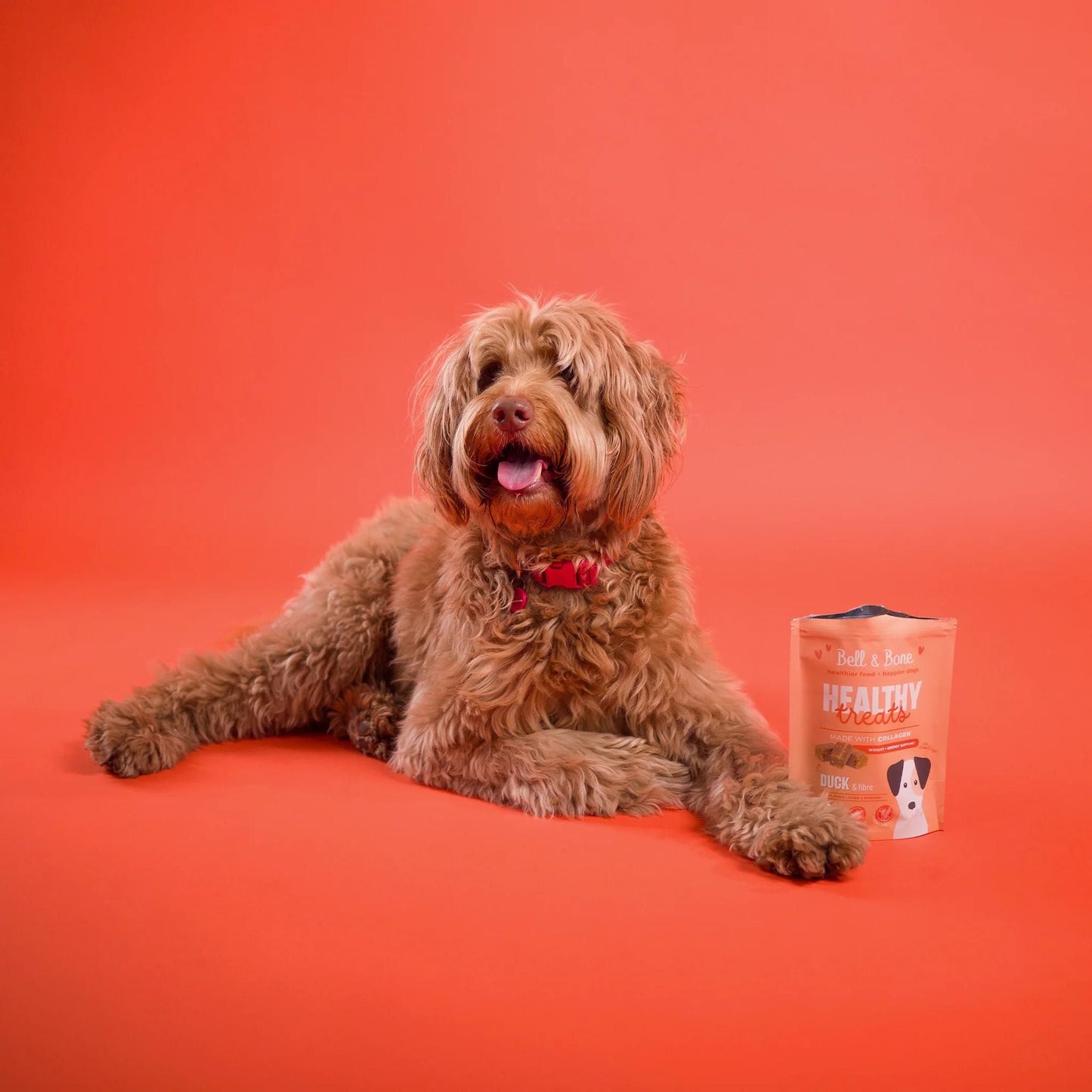 Healthy Dog Treats: Weight & Energy Support | Duck & Fibre