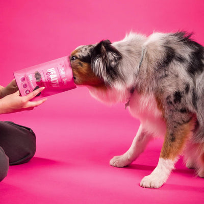 Healthy Dog Treats: Skin, Coat & Nails | Tuna & Seaweed