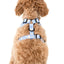 Blue Daisy | Adjustable Dog Harness