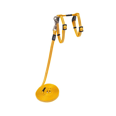 AlleyCat Harness & Lead Set Gold - Peticular