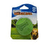 Chuckit! Erractic Ball | Single
