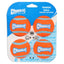 CHUCKIT! Tennis Balls | Medium