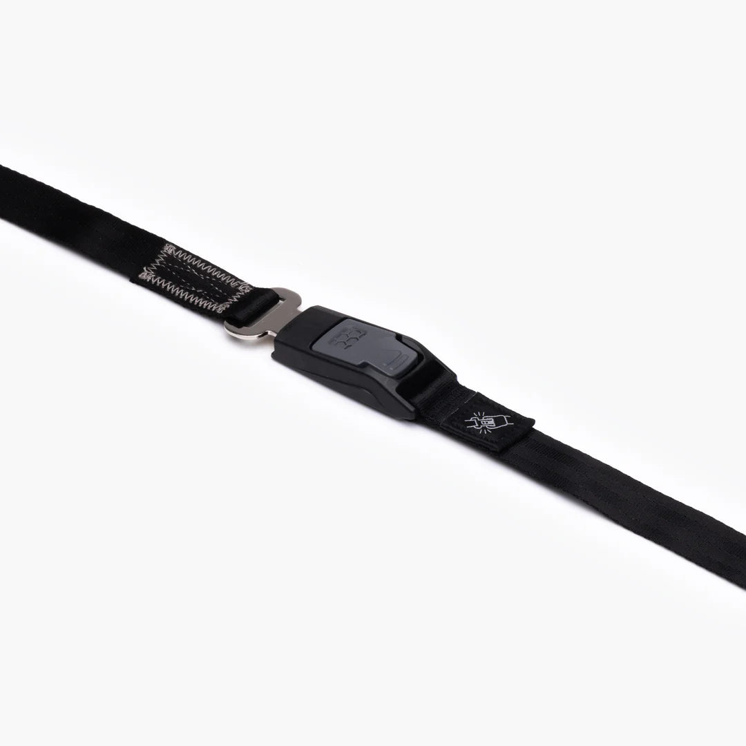EzyDog Adjustable Car Restraint  [Standard Seatbelt]