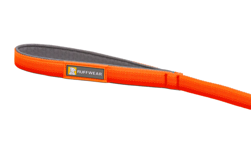 Front Range Dog Lead | Blaze Orange - Peticular