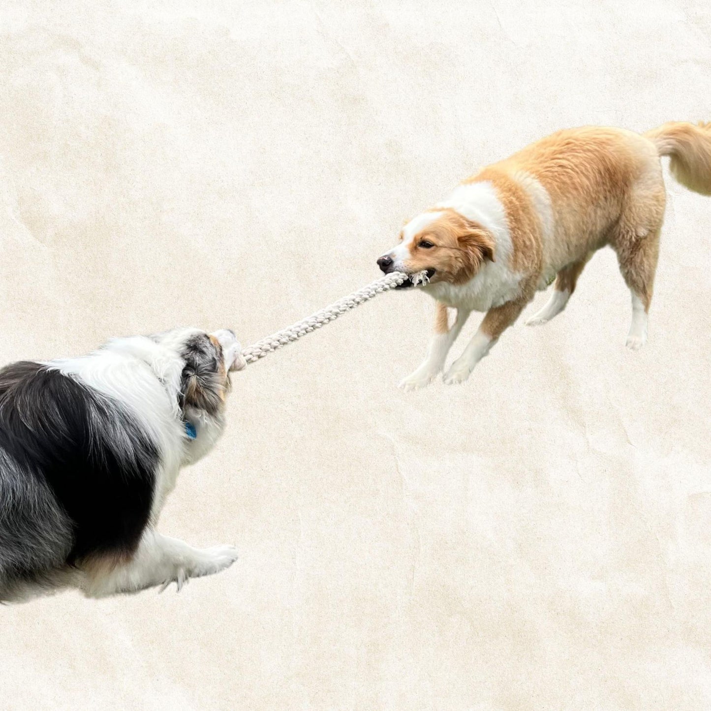 Mega Rope Dog Toy