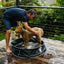 DOOG- Pop-Up Pool