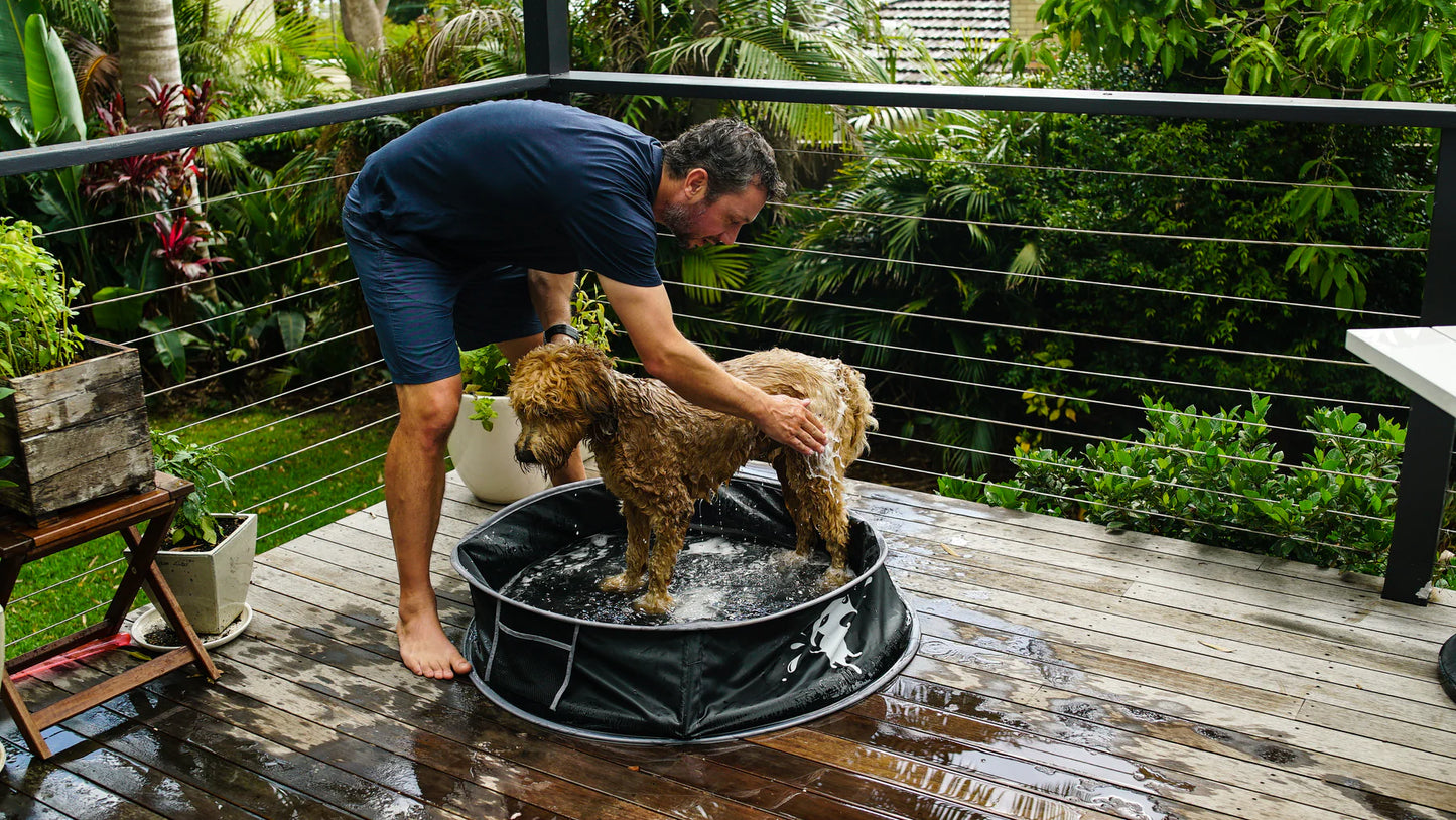 DOOG- Pop-Up Pool