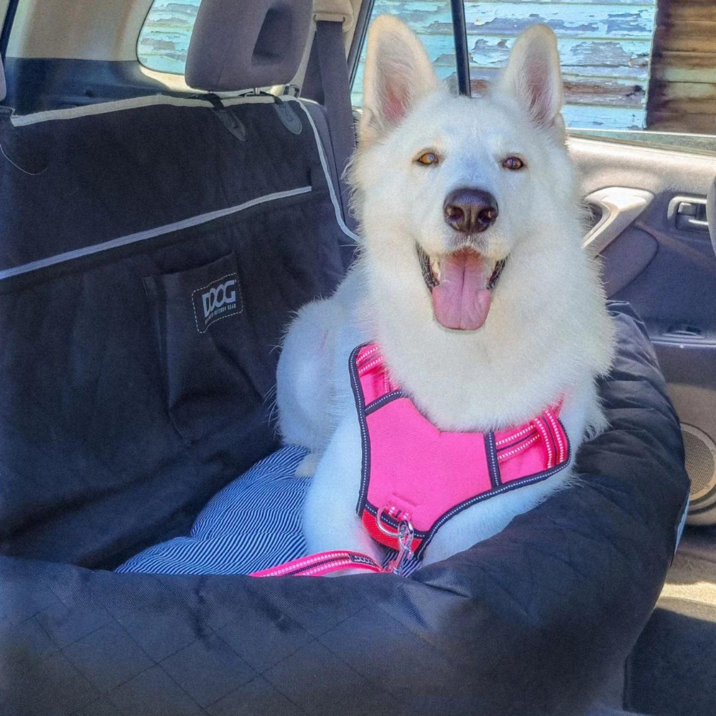 Dog Car Seat | Large