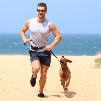 Mini Walking Belt