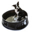 DOOG- Pop-Up Pool