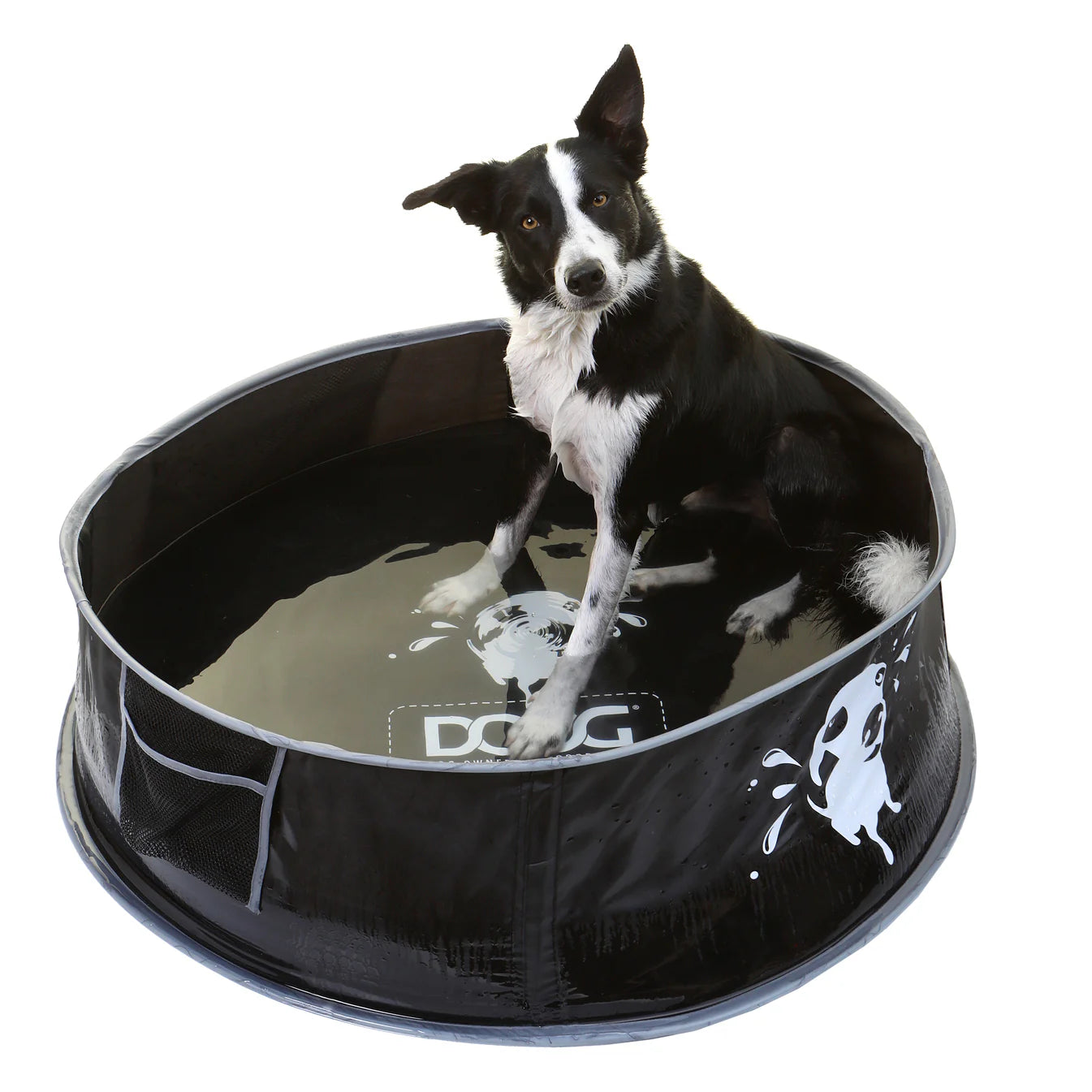 DOOG- Pop-Up Pool