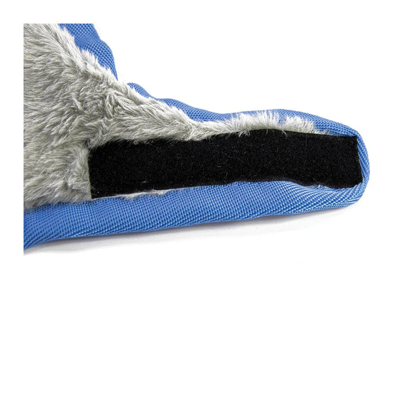 Dachshund Dog Coat | Purple/Blue