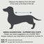 Dachshund Dog Coat | Purple/Blue