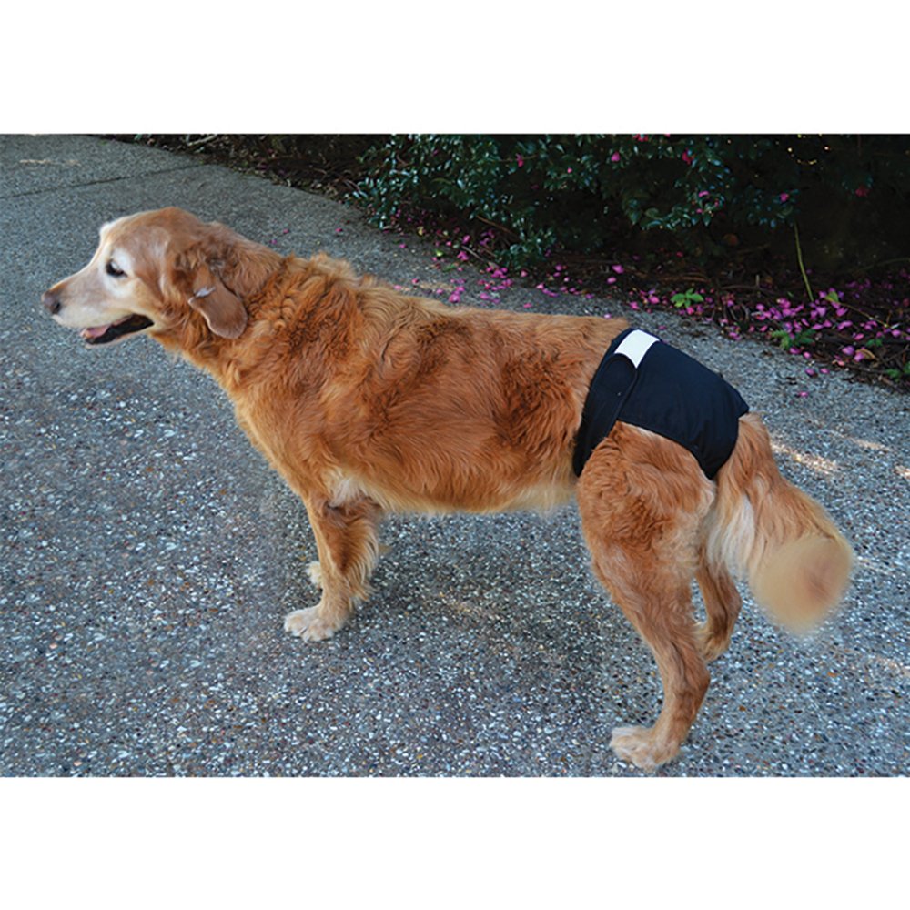 Zeez Washable Diaper - Peticular