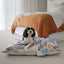 Indoor Dog Bed Boucle | Coral Cove* - Peticular