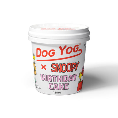 Snoopy Birthday Cake Dog Ice Cream