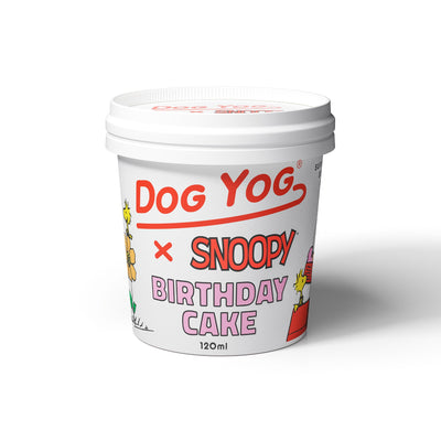 Snoopy Birthday Cake Dog Yog Ice Cream