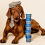Blueberry & Peanut Butter Dog Yog Ice Cream