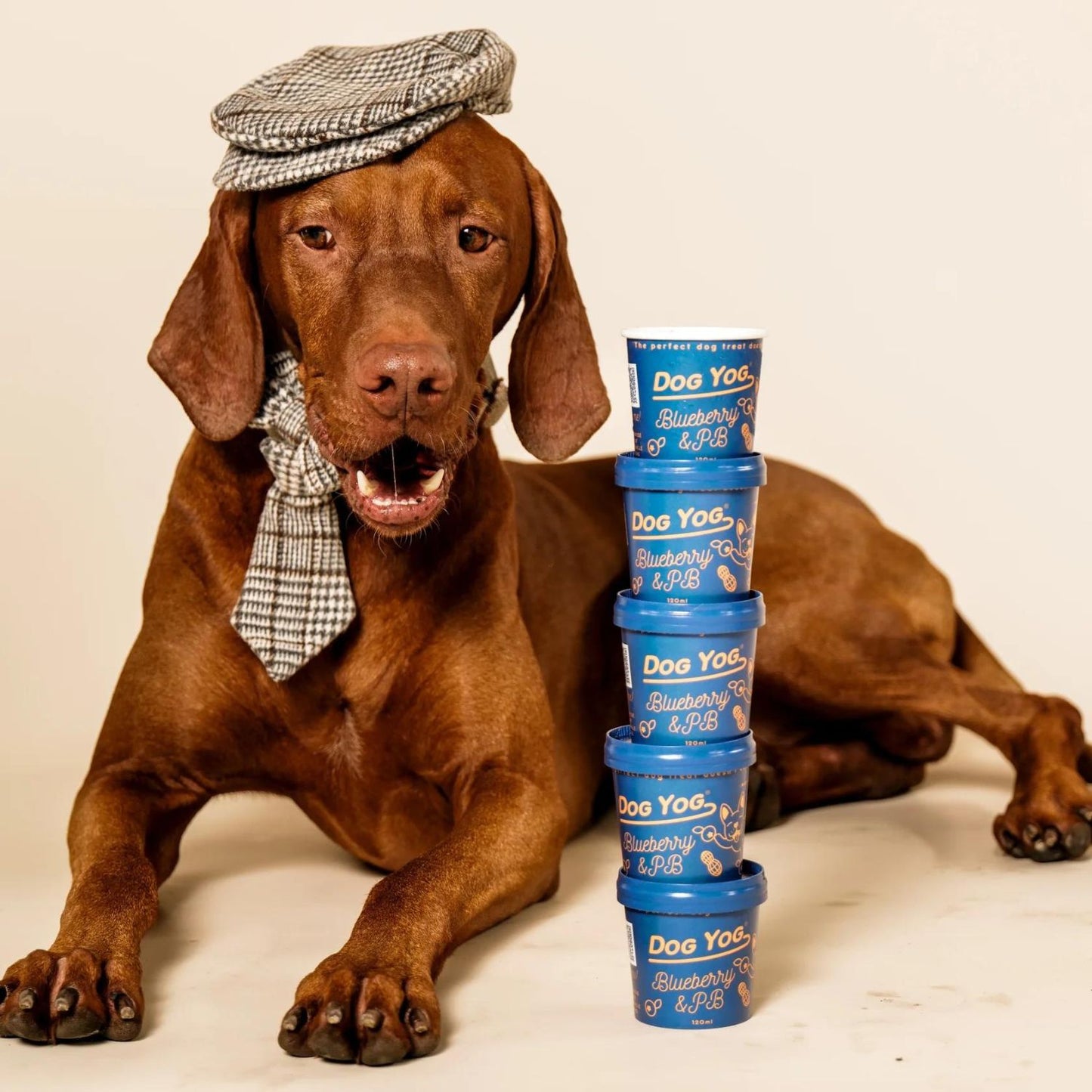 Blueberry & Peanut Butter Dog Yog Ice Cream