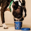 Blueberry & Peanut Butter Dog Yog Ice Cream