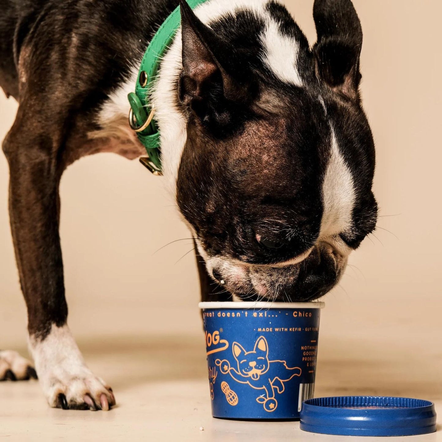 Blueberry & Peanut Butter Dog Ice Cream