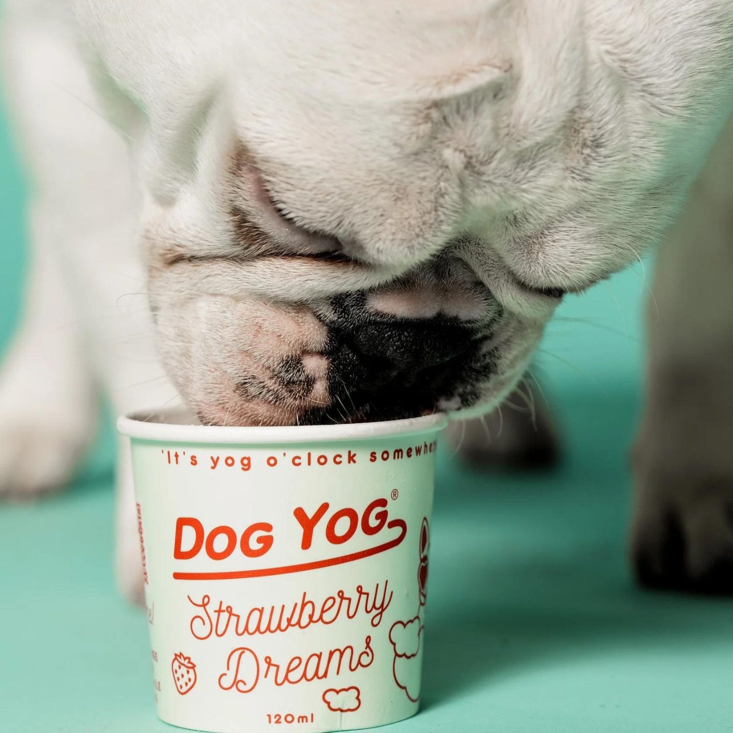 Strawberry Dreams Dog Ice Cream