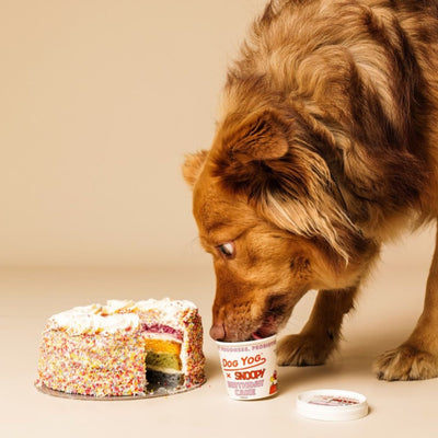 Snoopy Birthday Cake Dog Ice Cream