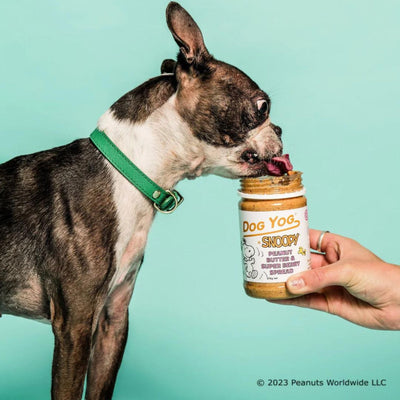 Dog Yog x Snoopy | Peanut Butter & Super Berry Spread