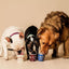 Rocky Road Dog Yog Ice Cream