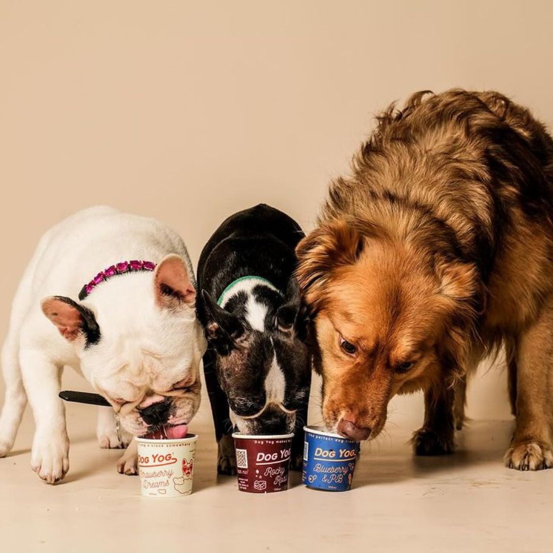Rocky Road Dog Yog Ice Cream