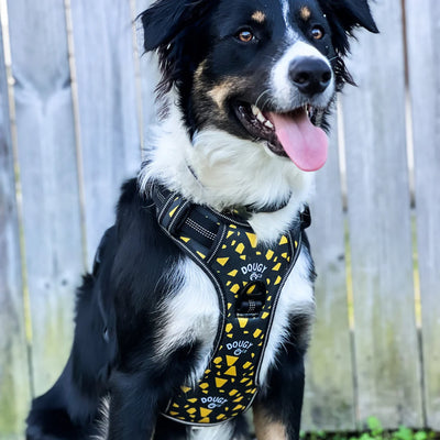 DOUGY Dog Harness