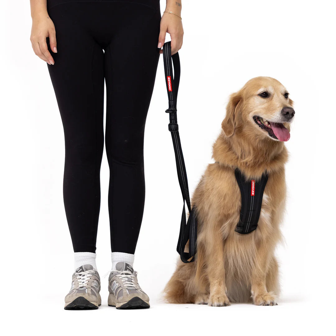 Essential Dog Leash (Adjustable) - Peticular